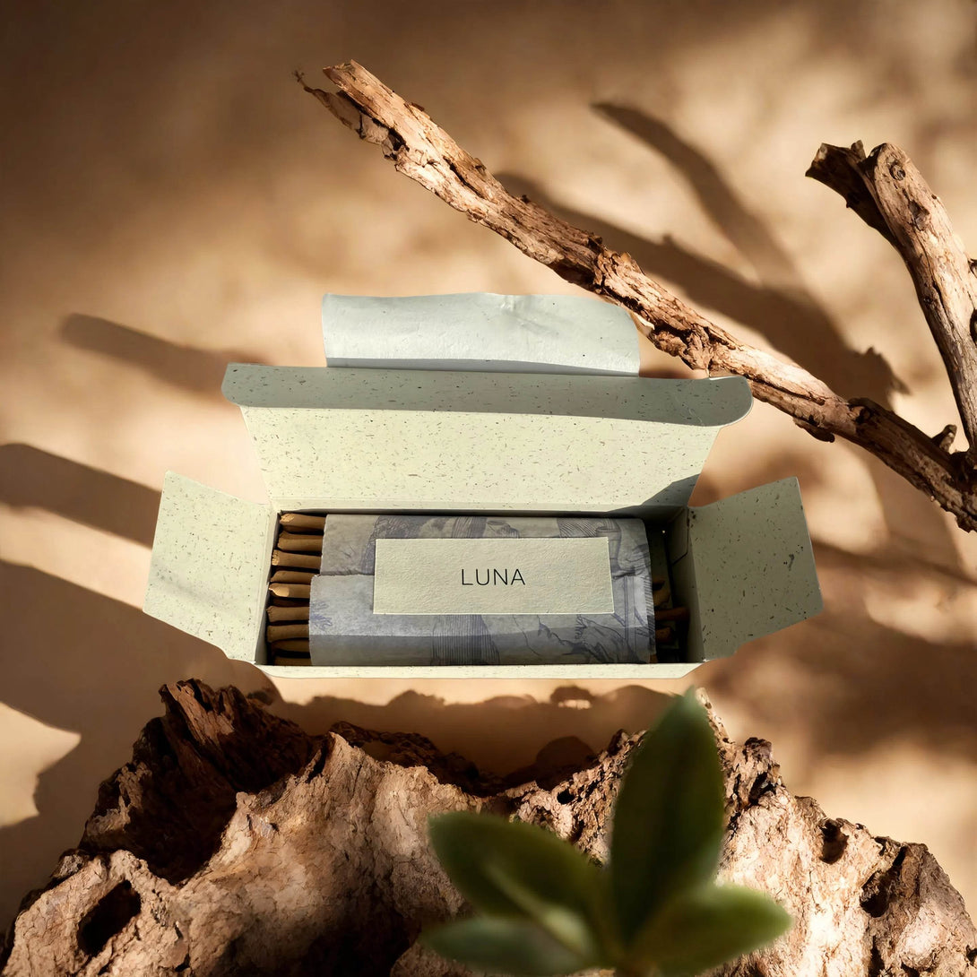 Luna – Clove, Sandalwood & Cedarwood 🌿🪵 - incenselab.au